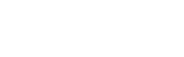 vivensis logo